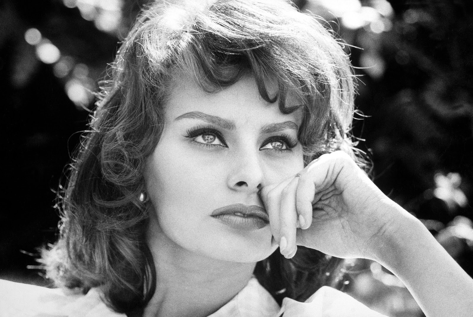 Best blowjob pics Recent picture of sophia loren